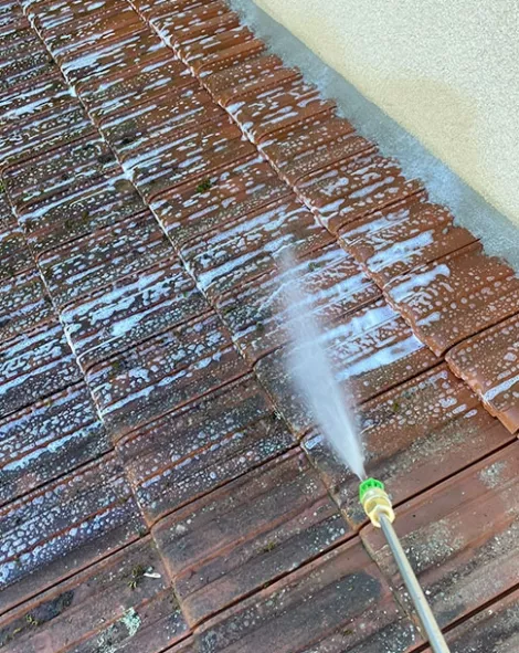 Démoussage